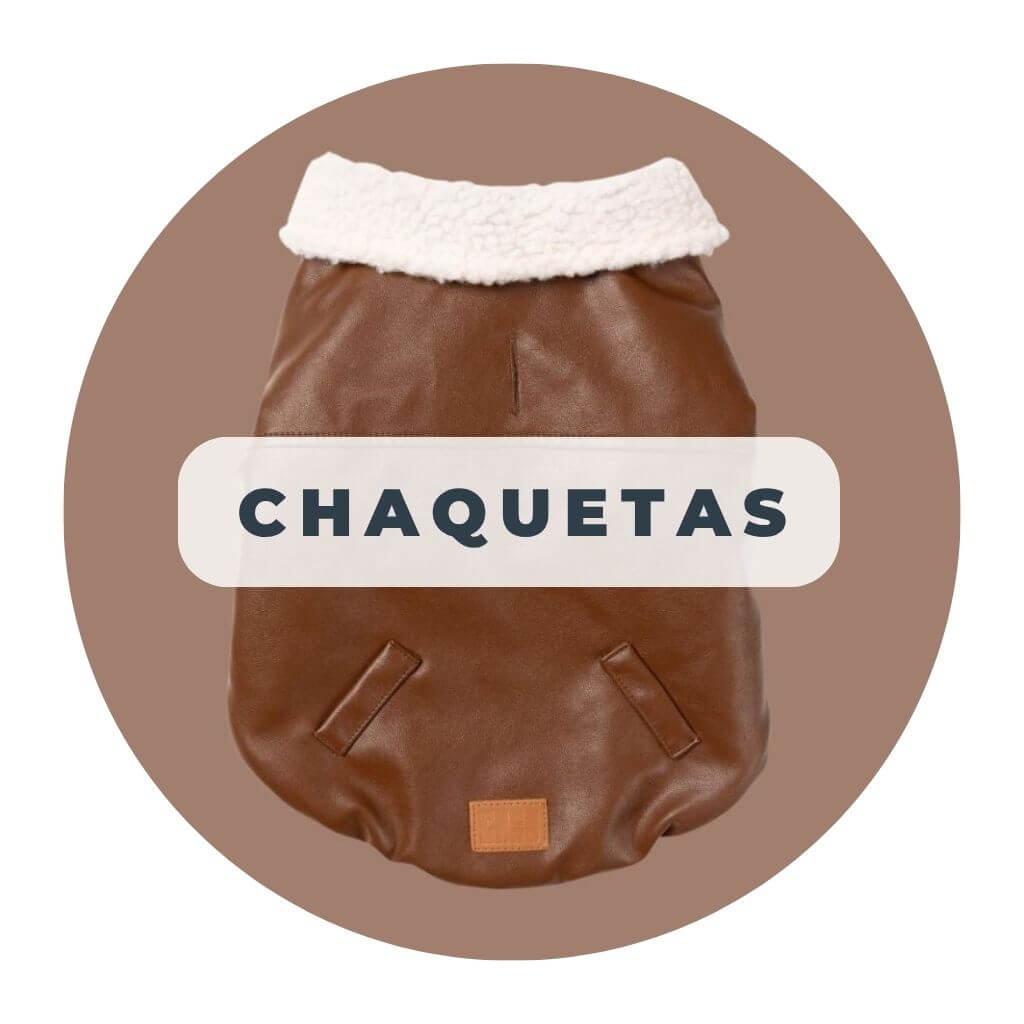 Chaquetas para perros y gatos colección ropa fuzzyard 2025